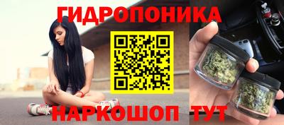 шишки Среднеуральск